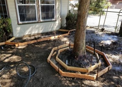 tree fence