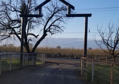 fence